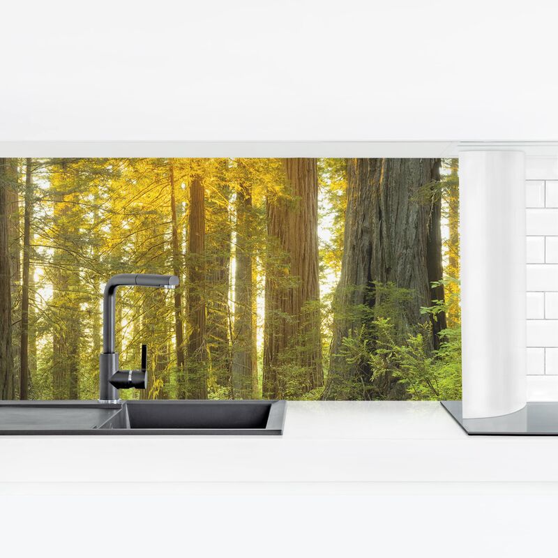 

Revestimiento pared cocina - Redwood National Park Dimensión LxA: 90cm x 315cm Material: Smart