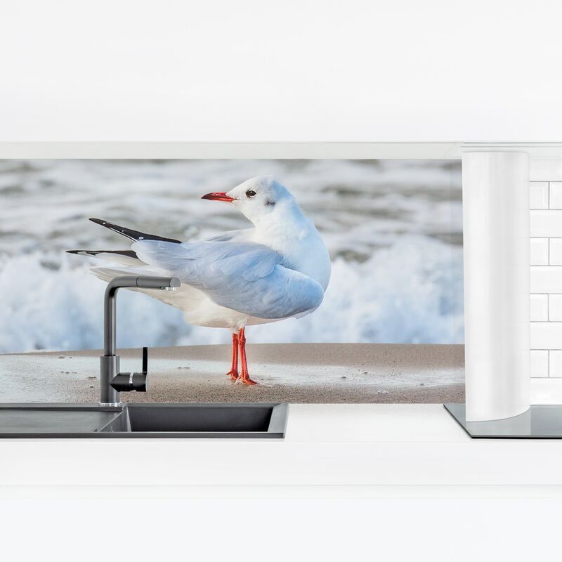 

Revestimiento pared cocina - Seagull On The Beach In Front Of The Sea Dimensión LxA: 60cm x 210cm Material: Magnético