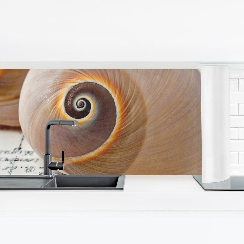 

Revestimiento pared cocina - Shell Duo Dimensión LxA: 60cm x 210cm Material: Premium