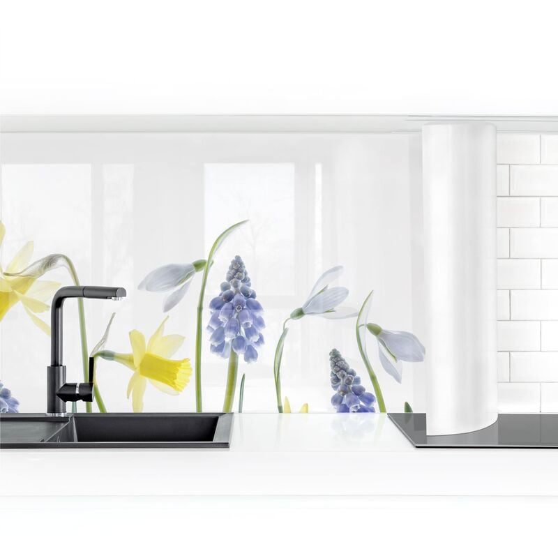 

Bilderwelten - Revestimiento pared cocina - Spring Flowering I Dimensión LxA: 50cm x 300cm Material: Magnético