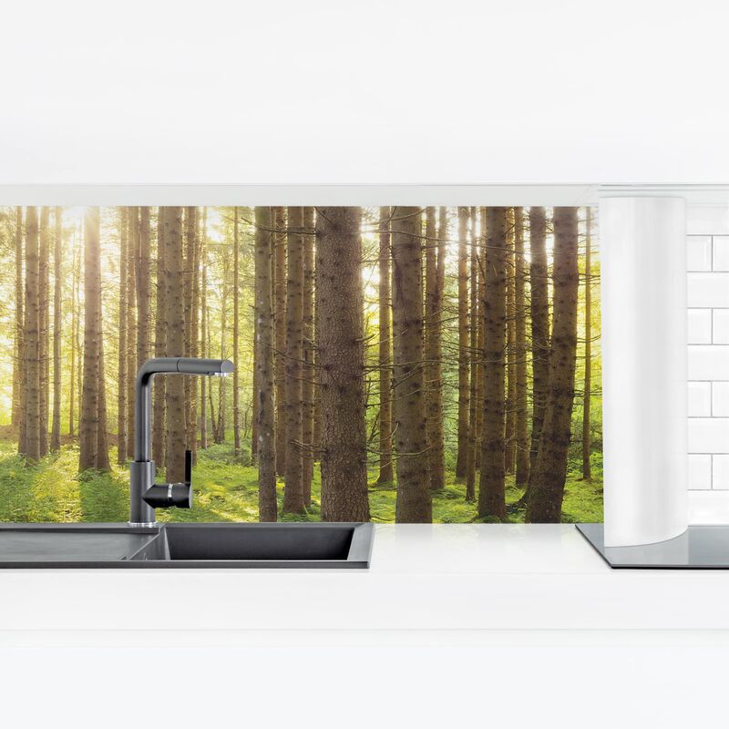 

Revestimiento pared cocina - Sun Rays In Green Forest Dimensión LxA: 80cm x 280cm Material: Premium