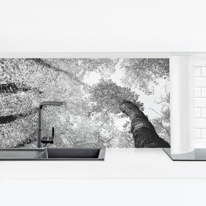 

Bilderwelten - Revestimiento pared cocina - Trees Of Life II Dimensión LxA: 60cm x 210cm Material: Premium