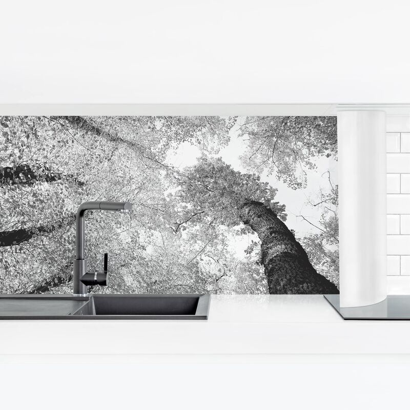 

Revestimiento pared cocina - Trees Of Life II Dimensión LxA: 80cm x 280cm Material: Smart