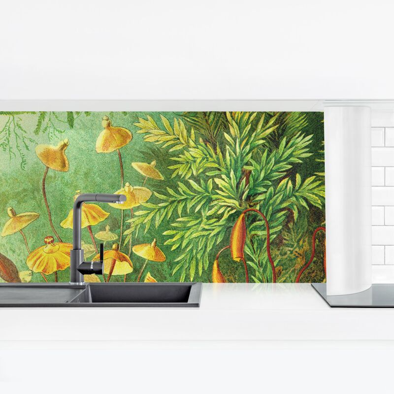 

Revestimiento pared cocina - Vintage Board Moss Dimensión LxA: 70cm x 245cm Material: Smart