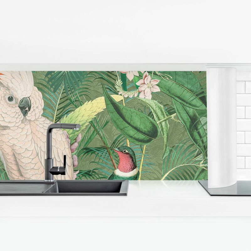 

Revestimiento pared cocina - Vintage Collage - Cockatoo And Hummingbird Dimensión LxA: 70cm x 245cm Material: Premium