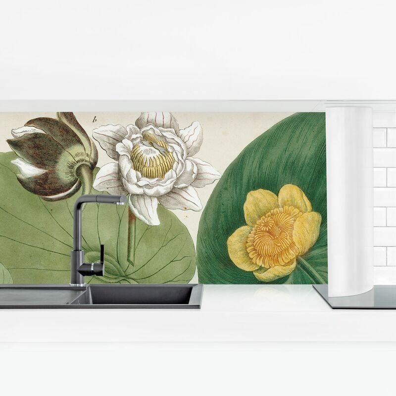 

Revestimiento pared cocina - Vintage Illustration White Water-Lily Dimensión LxA: 40cm x 140cm Material: Smart