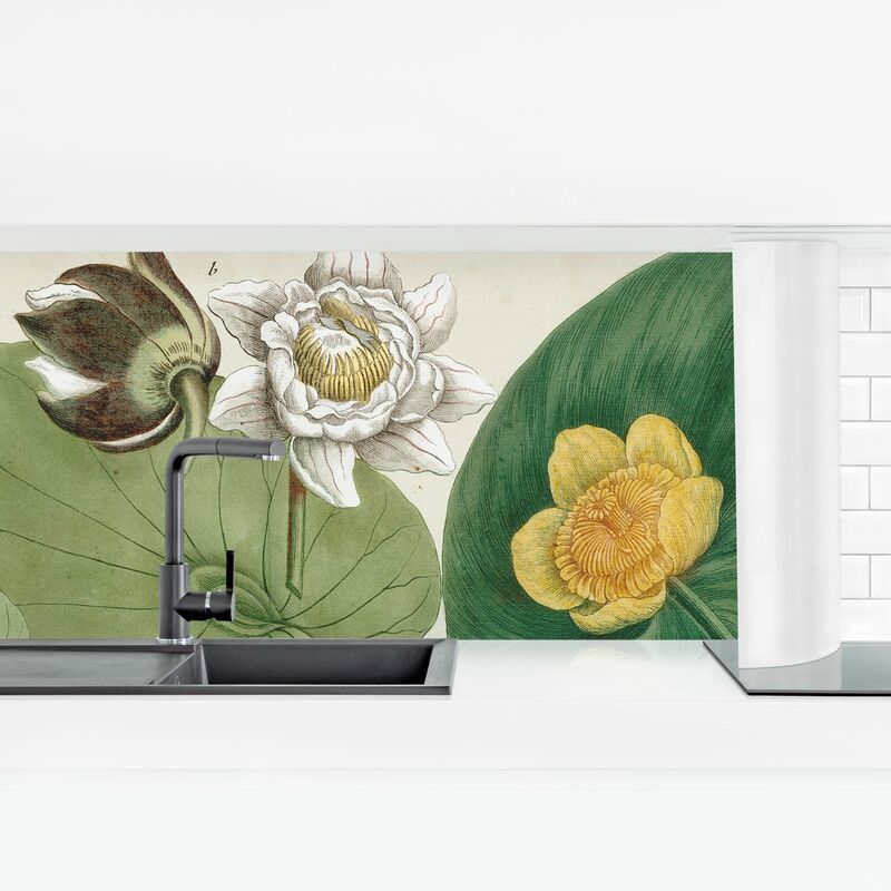 

Revestimiento pared cocina - Vintage Illustration White Water-Lily Dimensión LxA: 40cm x 140cm Material: Premium