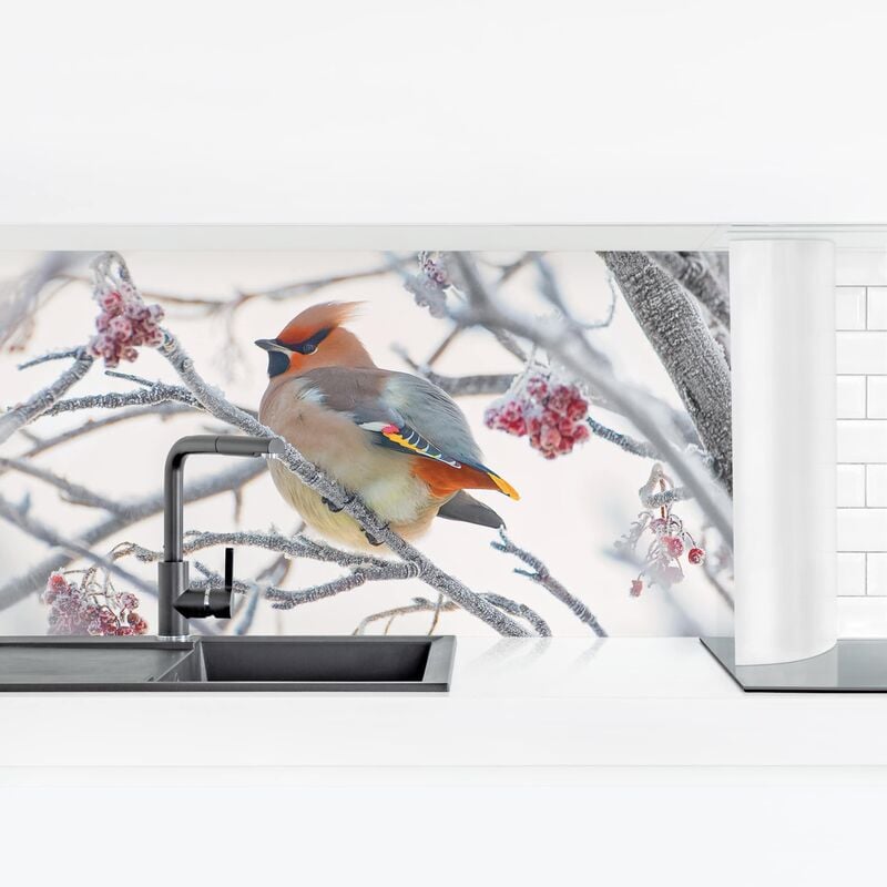 

Revestimiento pared cocina - Waxwing In Tree Dimensión LxA: 90cm x 315cm Material: Premium