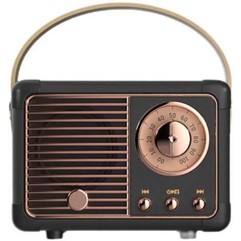 RGE Haut - parleurs Bluetooth plus anciens, volume élevé, connexion sans fil Bluetooth 5.0, support de carte TF, lecteur flash USB et entrée audio aux (noir)