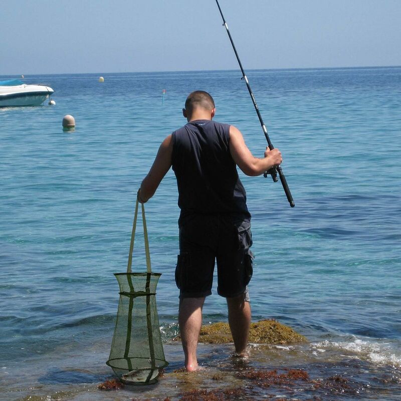 Rhafayre - Filet de pêche Piège à poissons Cage à poissons repliable Panier de pêche pour conserver les leurres Ecrevisses Crabes Eperlan Ménéneux