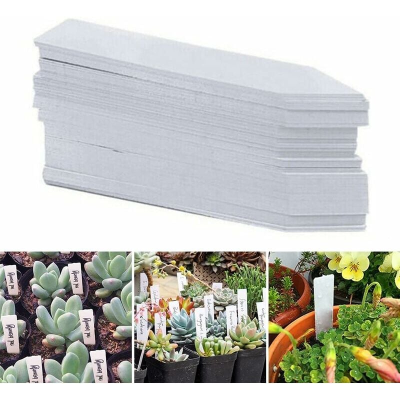 Lot de 200 étiquettes en plastique pour plantes de jardin, étiquettes étanches de 5 x 1 cm, étiquettes de graines pour plantes d'extérieur, fleurs en