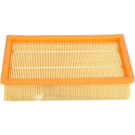 RHG Accessoire d'aspirateur de remplacement d'élément filtrant pour Karcher NT25/1 NT361 NE611 ECO