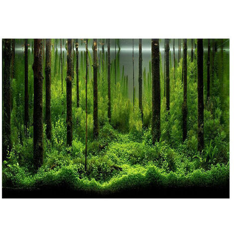 RHG PVC adhésif sous-marin forêt réservoir fond affiche toile de fond décoration papier (12246 cm)