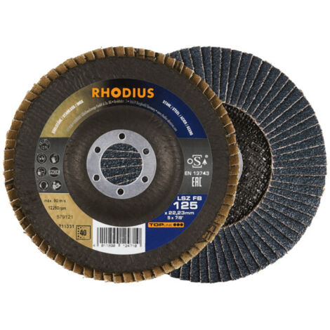 RHODIUS 211333 RHODIUS DISQUE SEGMENTÉ DIAMÈTRE 125 MM Ø DE PERÇAGE 22.23 MM ACIER INOXYDABLE, ACIER 1 PC(S)