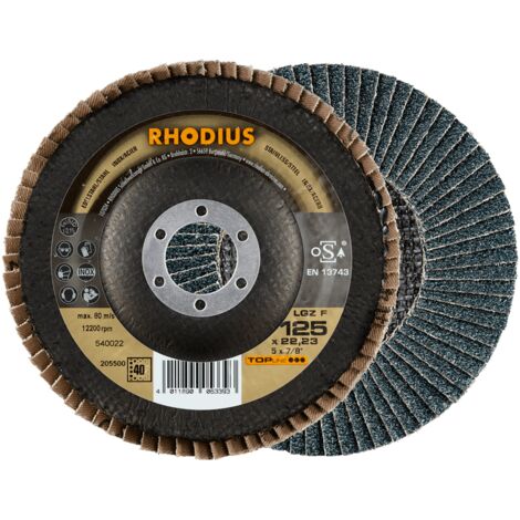 RHODIUS LGZ F, 10 Stück, 115 mm, Korn 80, Fächerschleifscheibe