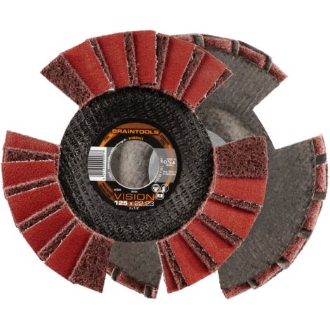RHODIUS VSK VISION, 10 Stück, 125 mm, Fächerschleifscheibe
