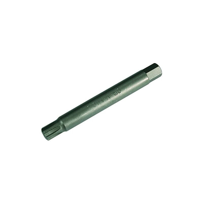 Ribe, de 100 mm de long, M10.3