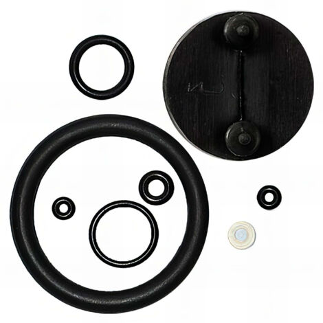 Ribimex – Kit de joints pour pompe à pression 7 L – Version produits agressifs – Pour utilisation avec produits chimiques – Accessoire pulvérisateur