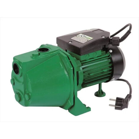 Ribimex – Pompe de surface auto-amorçante 750 W – Pression max 3,5 bars – Hauteur d'aspiration 7 m – Débit 3300 l/h – Corps fonte durable - PRJET81