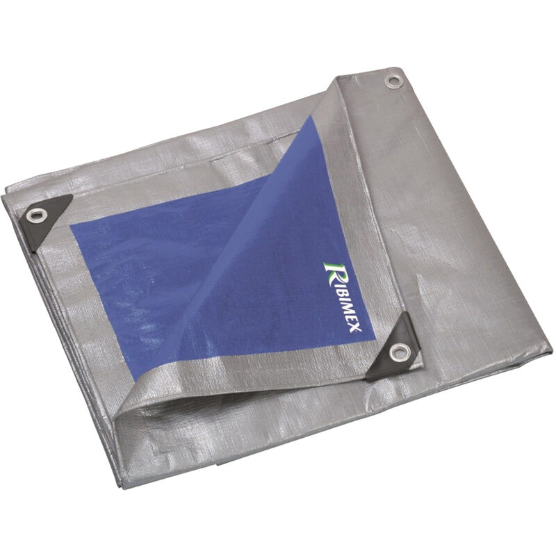Ribimex - Bâche de protection Pro 2x3 250 g/m2