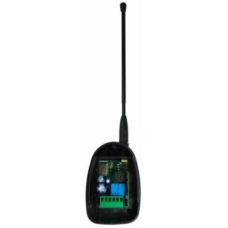 Ricevente 90600000 2 Canali 433,92 + Bluetooth Compatibile Con Dieffematic