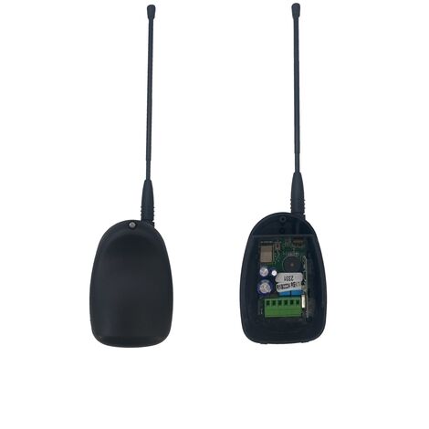 Ricevitore 90600000 2 Canali Radio 433,92 + Bluetooth Incorporato Dfm