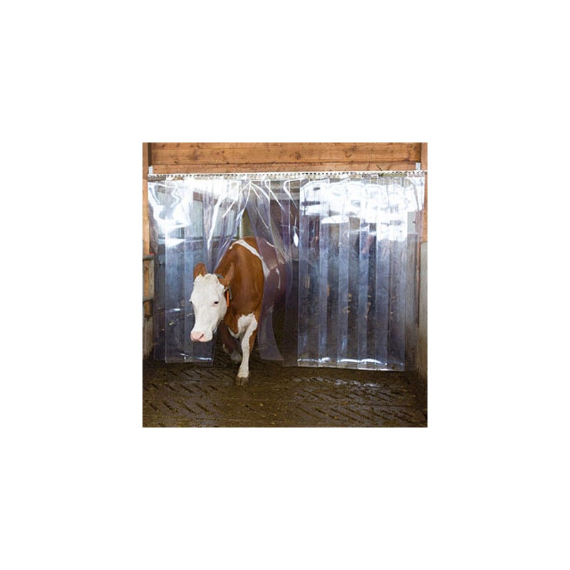 Kerbl - Bandes pvc transparentes Dimensions Bande/50/30/3