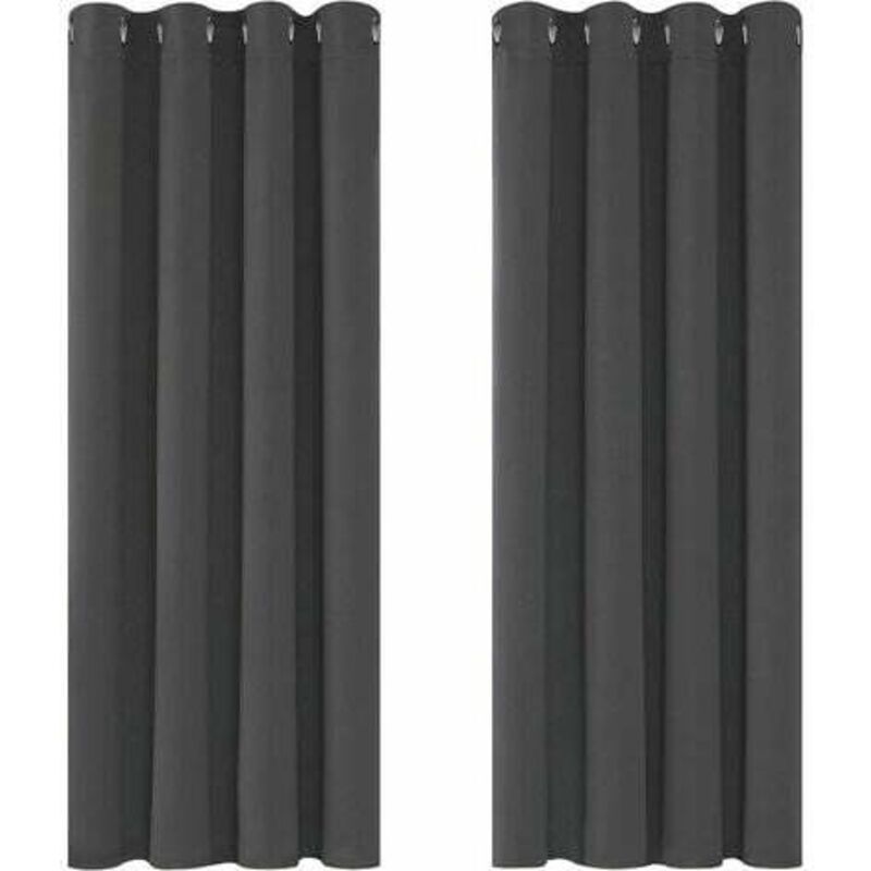 Rideaux Occultants Isolant Thermique Anti Froid, 117x138 cm (Largeur x Hauteur), Design Moderne à Oeillets, Rideaux pour Salon et Chambre, Gris