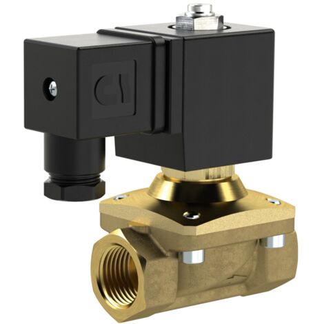 Riegler 2/2 MV, NO, MS, G12, DN13, PN 0-12, NBR, zwangsg., 24V DC