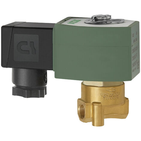 Riegler 2/2-Wege-MV.,MS,NC,direktg. 230 V,50-60 Hz,FPM,G 1/4, PN 0-12 bar