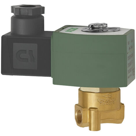 Riegler 2/2-Wege-MV.,MS,NC,direktg. 230 V,50-60 Hz,FPM,G 1/8, PN 0-12 bar