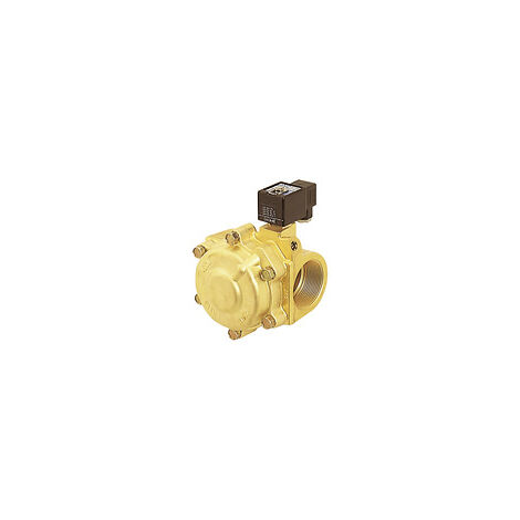 Riegler 2/2-Wege-MV.,MS,NC,vorg.,230 V,50-60Hz,FKM,Rp 1 1/2,PN 0,35-9 bar