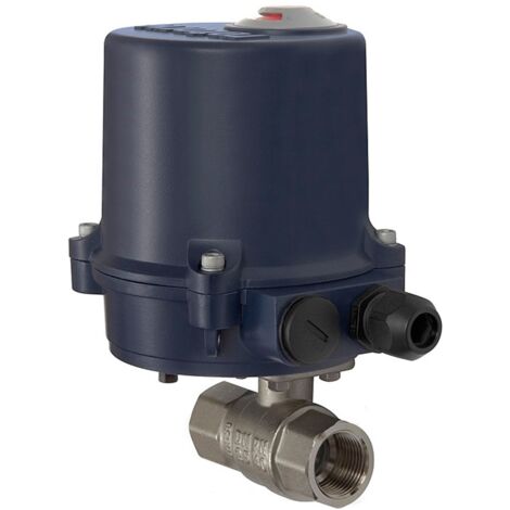 Riegler 2-Wege-Messingkugelhahn, elektr. Stellantrieb, 230 V AC, 50 Hz, Rp 1