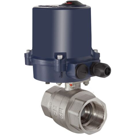 Riegler 2-Wege-Messingkuha, elektr. Stellantrieb, 230 V AC, 50 Hz, Rp 2