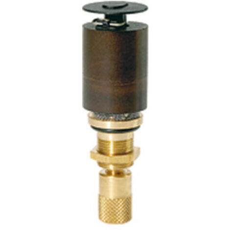 Riegler Automatisches Ablassventil für »multifix«, »FUTURA«, »Standard«