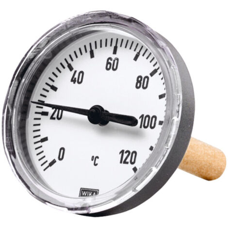 Riegler Bimetallthermom., G 1/2 hi., Tauchschaftlänge 100mm Ø63, bis 60°C