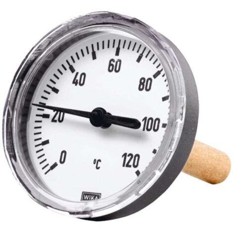 Riegler Bimetallthermom., G 1/2 hi., Tauchschaftlänge 100mm Ã˜80, bis 60°C