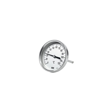 Riegler Bimetallthermom., hochw. Ausf., L1=100/L2=80, Ø100, 0°C bis 250°C