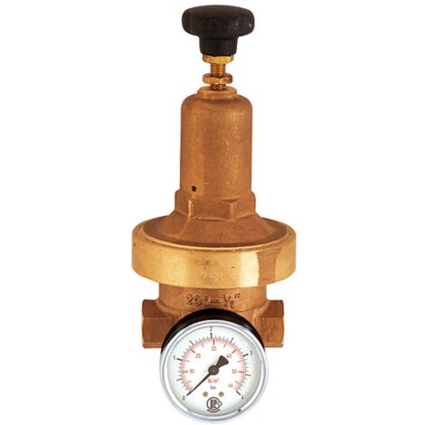 Riegler Druckregler DRV 250, Niederdruckausführung, G 1/4, 0,2 - 2 bar