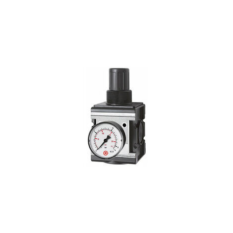 Riegler Druckregler »multifix«, inkl. Manometer, BG 4, G 3/4, 0,1 - 3 bar