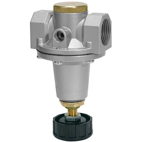 Riegler Druckregler Schalttafeleinbau »Standard«, BG 3, G 3/4, 0,5-6 bar