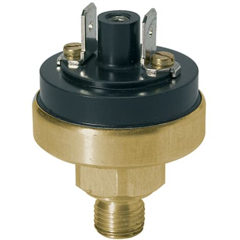 Riegler Druckschalter, Niederdruck, MS, M10x1, 0,2 - 1,5 bar, Schließer