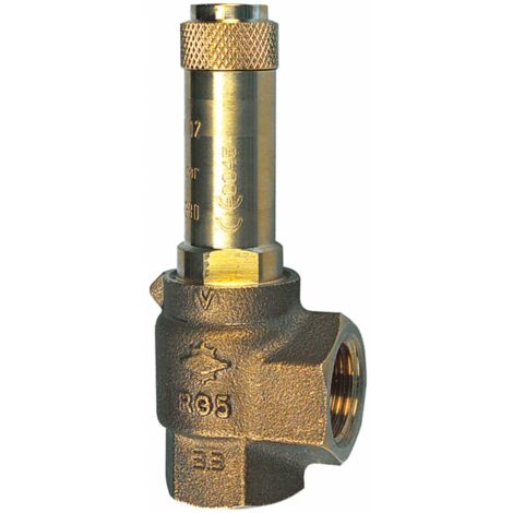 Riegler Eck-Sicherheitsventil, Sattdampf, G 3/4, Ansprechdruck 2 bar