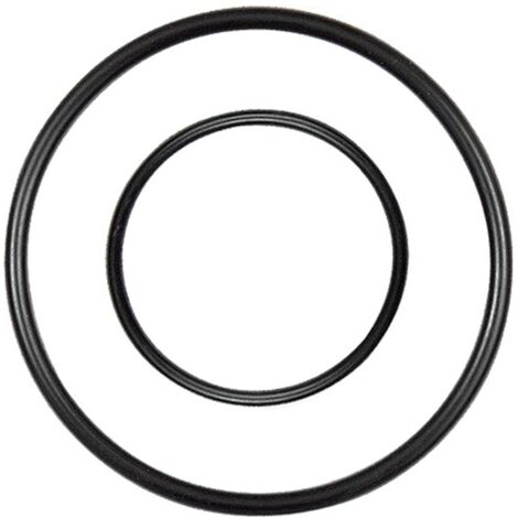 Riegler Ersatzdichtung für Edelstahl-Filter/Filterregler, BG 4