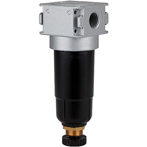 Riegler Filter »multifix-mini«, mit Metallbehälter, 5 µm, BG 0, G 1/4