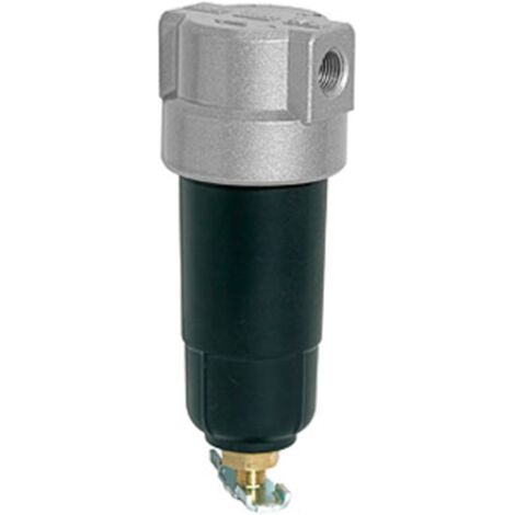 Riegler Filter »Standard-mini «, mit Metallbehälter, 8 µm, BG 0, G 1/4