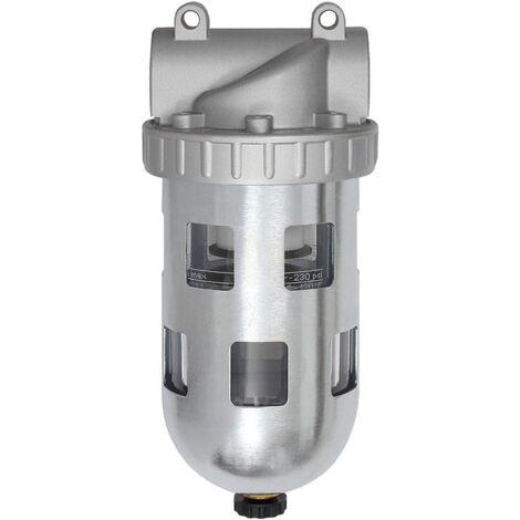Riegler Filter »Standard«, PC-Behälter, Schutzkorb, 40 µm, BG 4, G 1 1/4