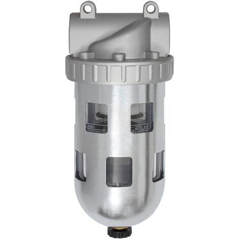 Riegler Filter »Standard«, PC-Behälter und Schutzkorb, 60 µm, BG 5, G 2
