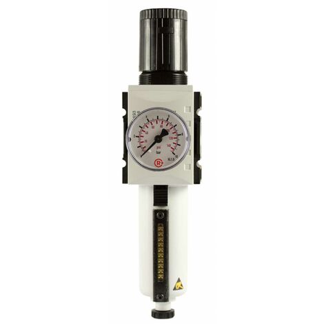 Riegler Filterregler »FUTURA«, MB, SR, Mano, BG 4, G 1, 0,1-1 bar, HA