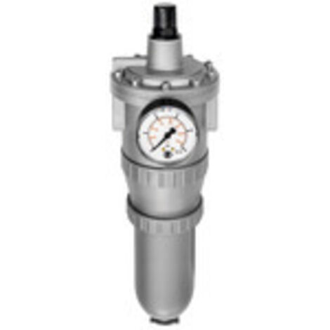 Riegler Filterregler »Standard«, mit Metallbehälter, BG 4, G 1, 678.43 M P